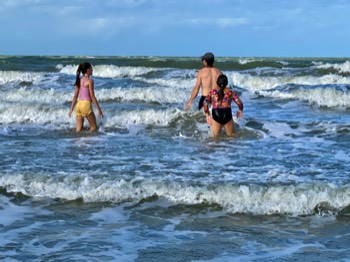 In for a swim in the surf.