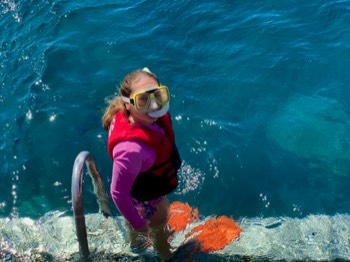 Great Barrier Reef - Belle 