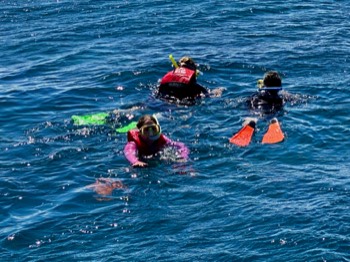 Great Barrier Reef - all in.