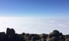 Stacks Image 90