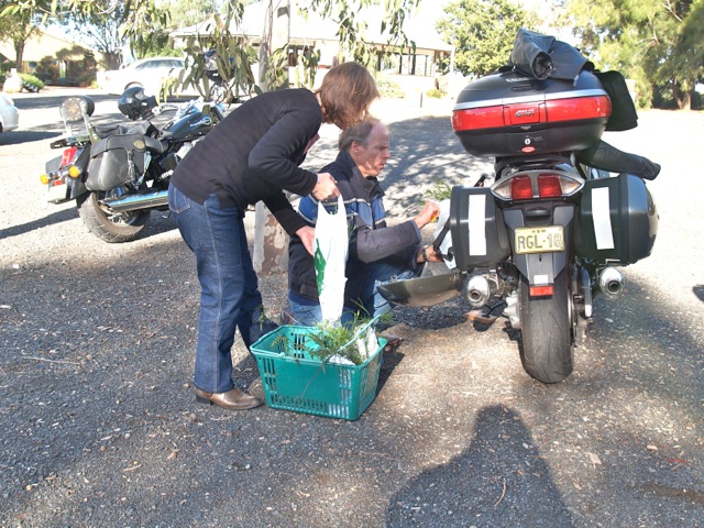 Loading Image