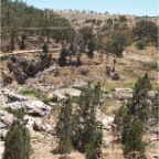 P1177371
